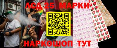 прущие грибы Гусиноозёрск