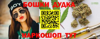 прущие грибы Гусиноозёрск