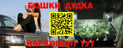 прущие грибы Гусиноозёрск