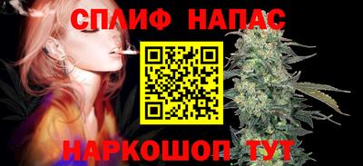 прущие грибы Гусиноозёрск